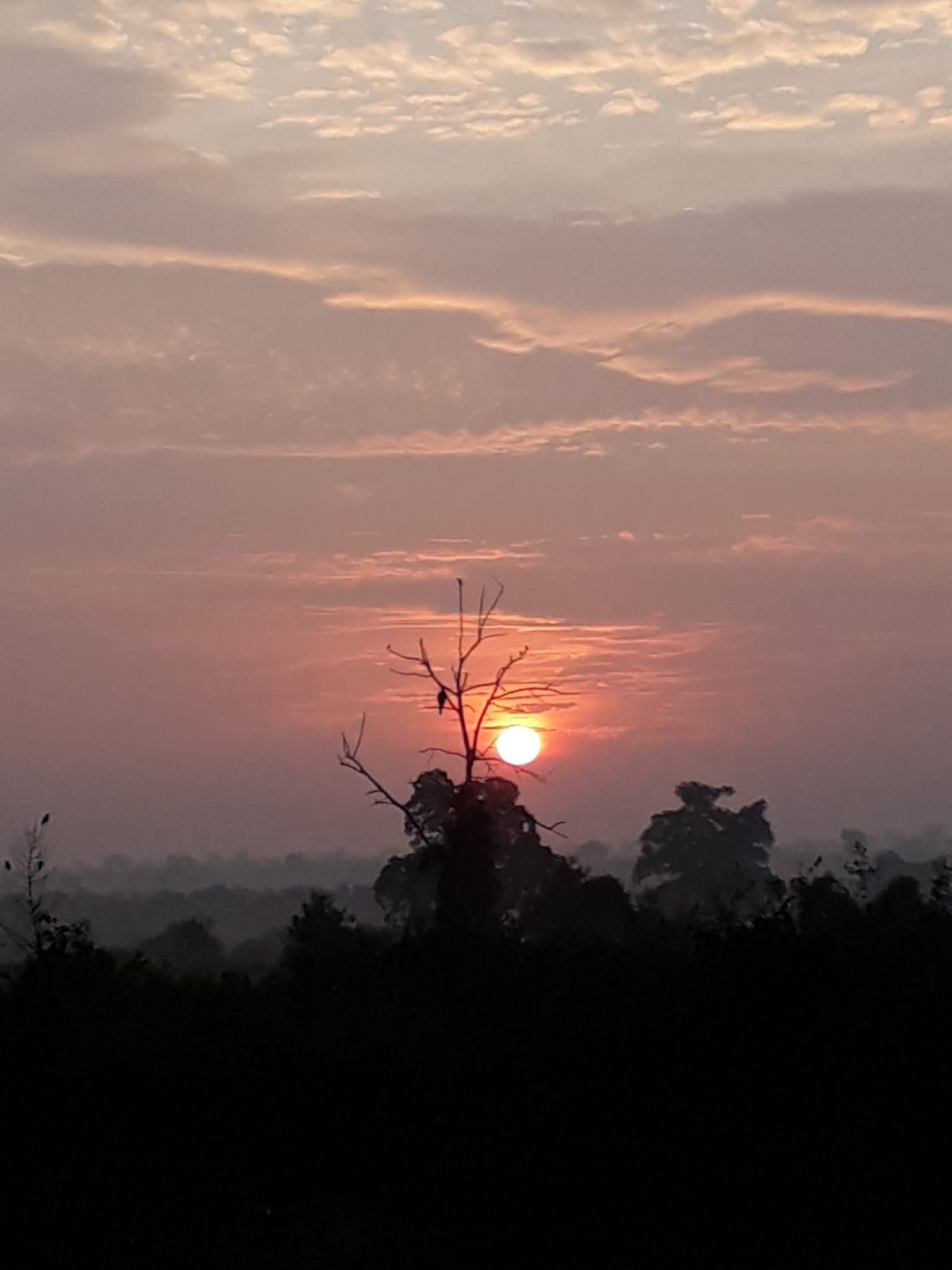 Private Organic House