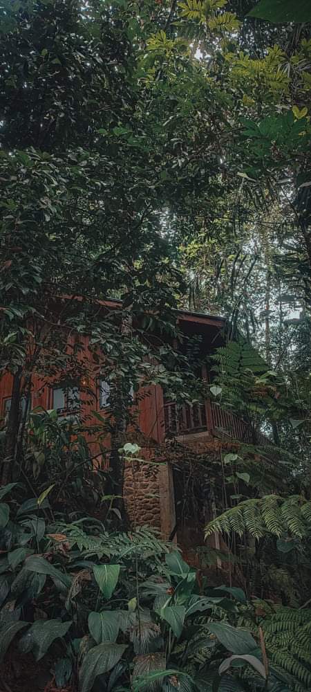 Neturevila Bambarawana Retreat