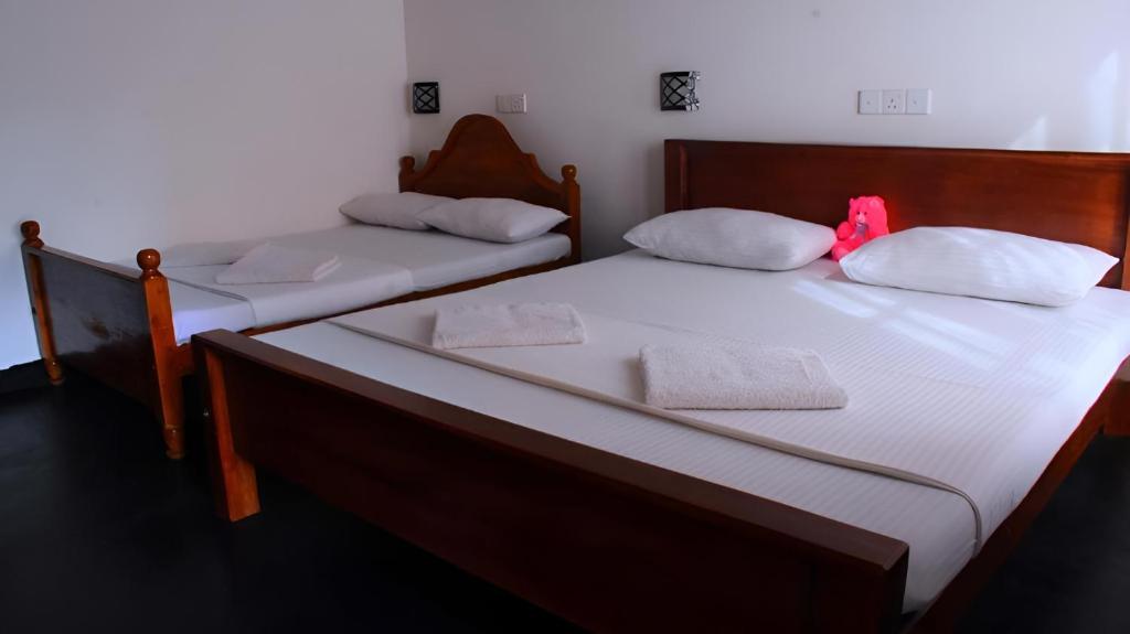 Wildlife safari House